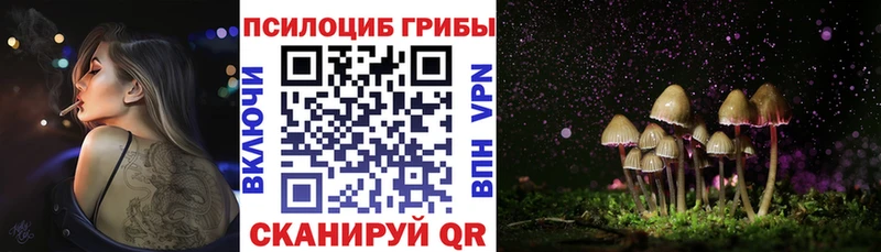 Галлюциногенные грибы MAGIC MUSHROOMS  Чишмы 